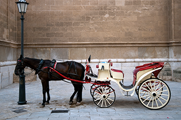 Transportation Photo